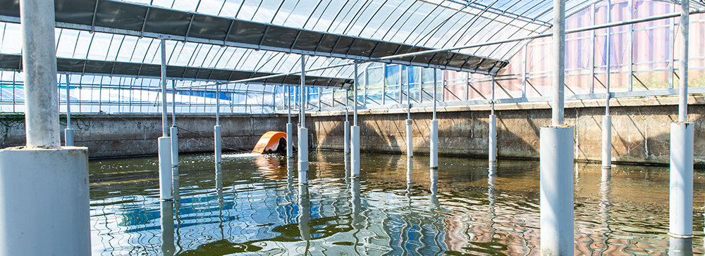 養殖場写真